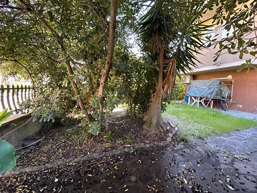 Immagine 33 di Casa semindipendente in vendita  a Rosignano Marittimo