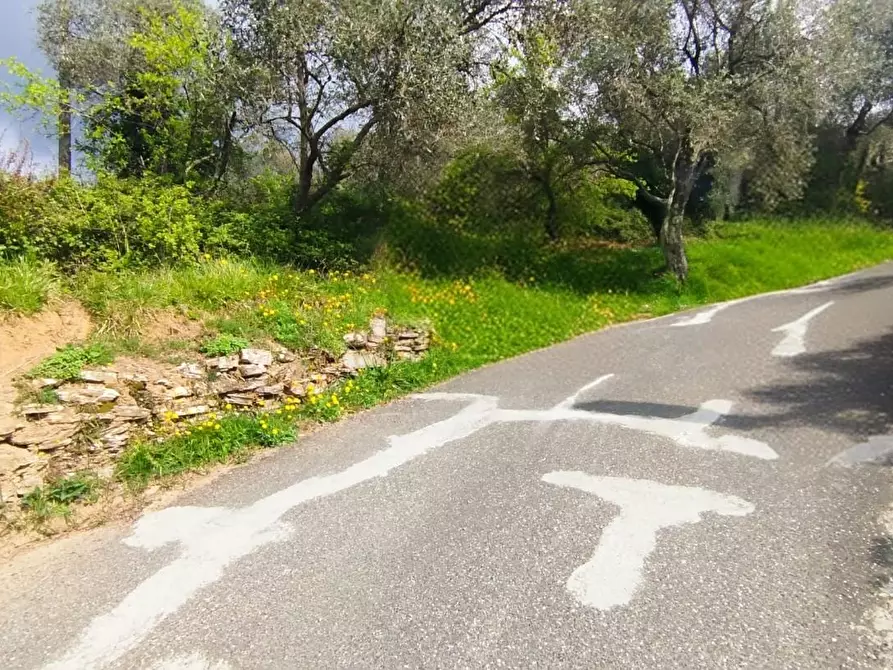 Immagine 2 di Terreno agricolo in vendita  a Fosdinovo