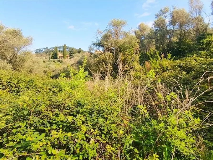 Immagine 10 di Terreno agricolo in vendita  a Fosdinovo