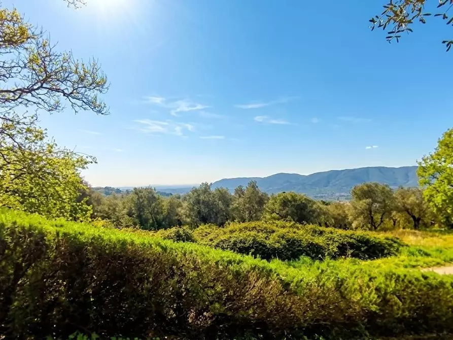 Immagine 6 di Terreno agricolo in vendita  a Fosdinovo
