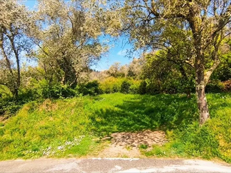 Immagine 8 di Terreno agricolo in vendita  a Fosdinovo