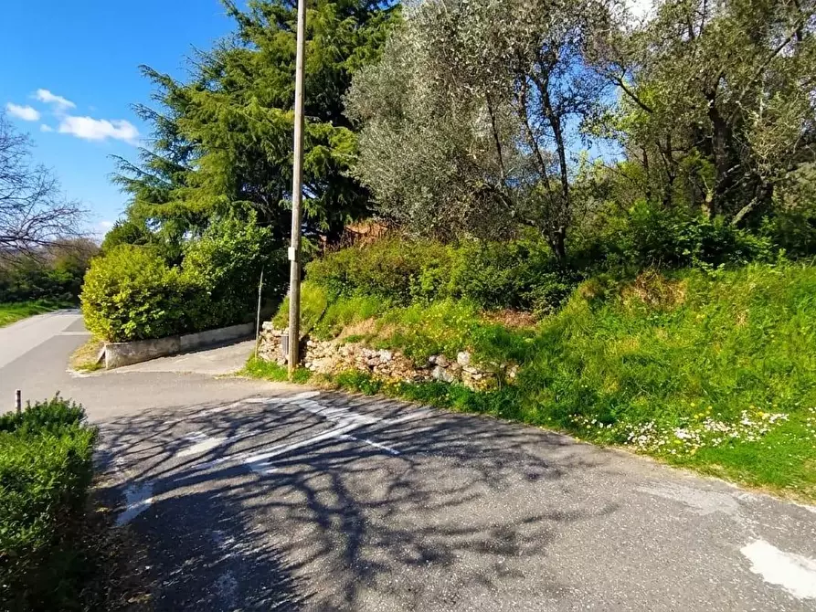 Immagine 9 di Terreno agricolo in vendita  a Fosdinovo
