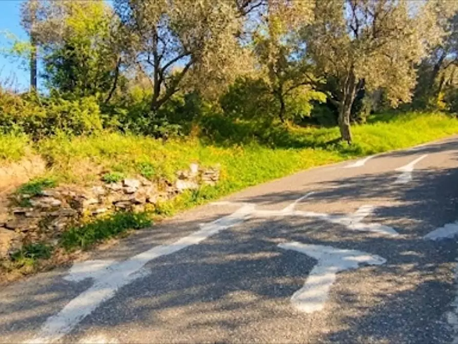Immagine 7 di Terreno agricolo in vendita  a Fosdinovo