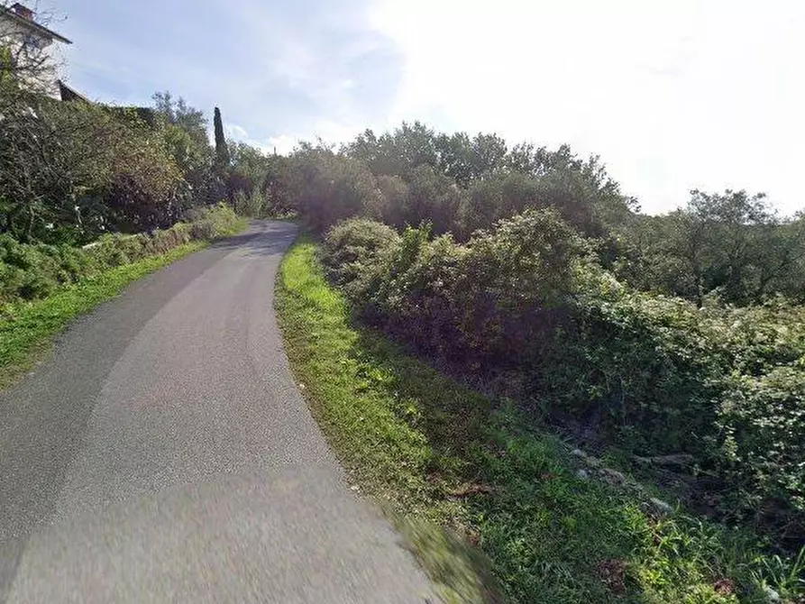 Immagine 4 di Terreno agricolo in vendita  a Fosdinovo