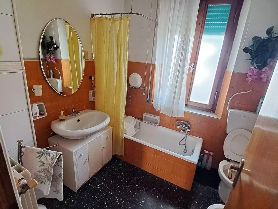 Immagine 16 di Appartamento in vendita  a Rosignano Marittimo