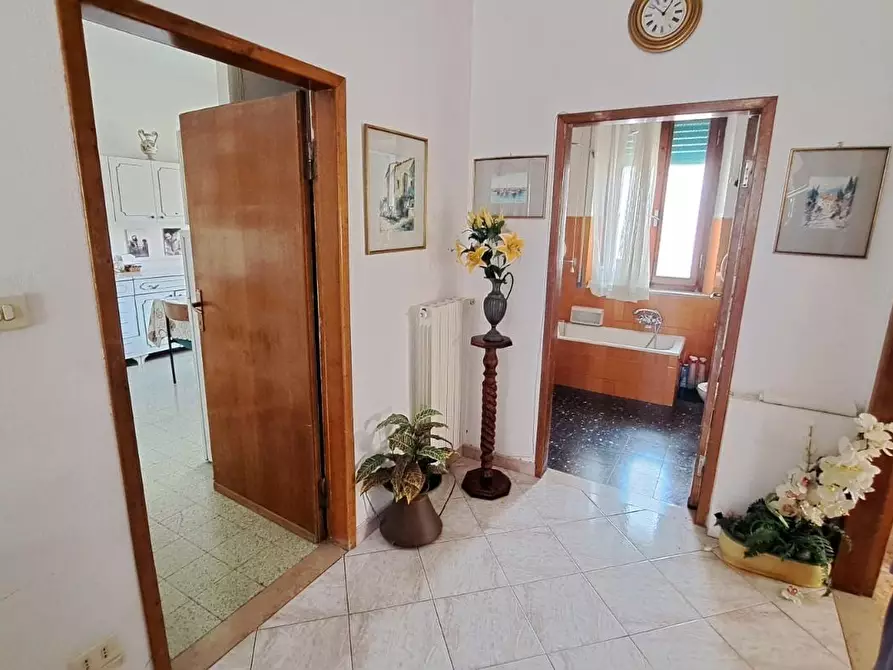 Immagine 11 di Appartamento in vendita  a Rosignano Marittimo