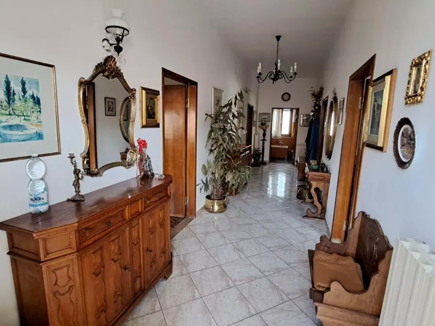 Immagine 4 di Appartamento in vendita  a Rosignano Marittimo