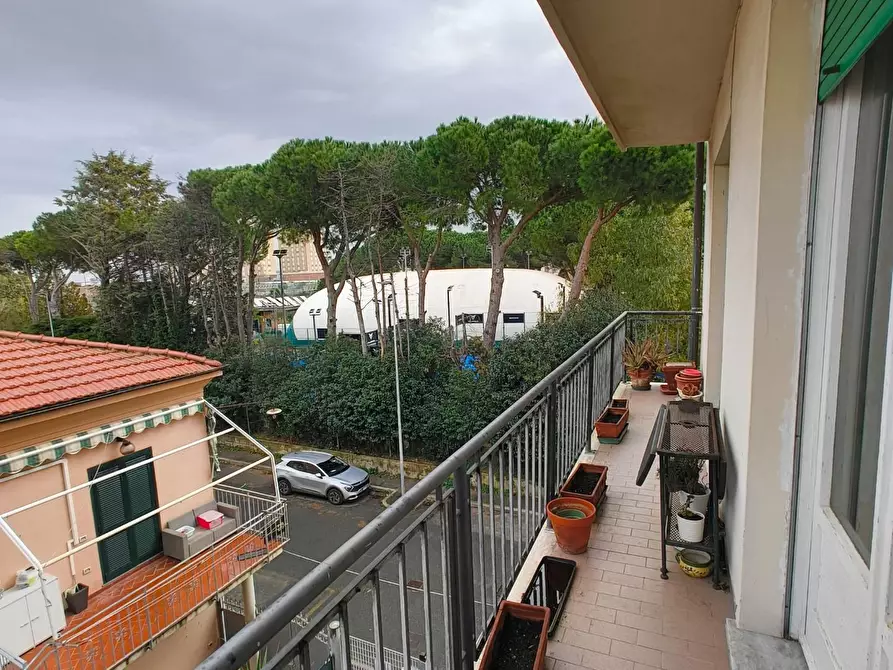 Immagine 6 di Appartamento in vendita  a Livorno