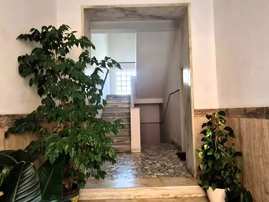 Immagine 11 di Appartamento in vendita  a Massa