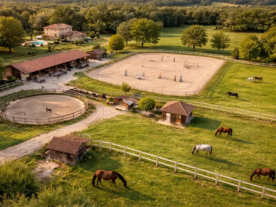 Immagine 4 di Terreno agricolo in vendita  a Casciana Terme Lari