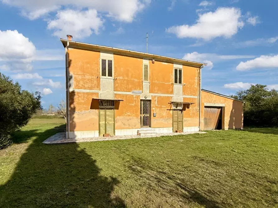 Immagine 5 di Terreno agricolo in vendita  a Casciana Terme Lari