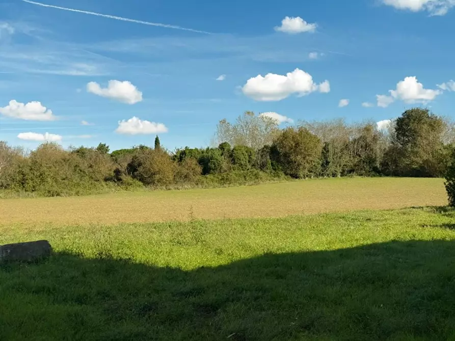 Immagine 9 di Casa colonica in vendita  a Casciana Terme Lari