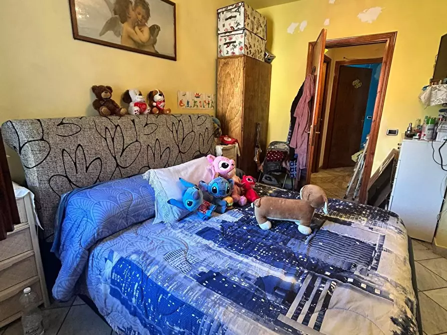 Immagine 9 di Terratetto in affitto  a Massa