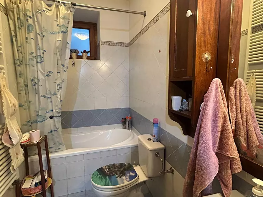 Immagine 8 di Terratetto in affitto  a Massa