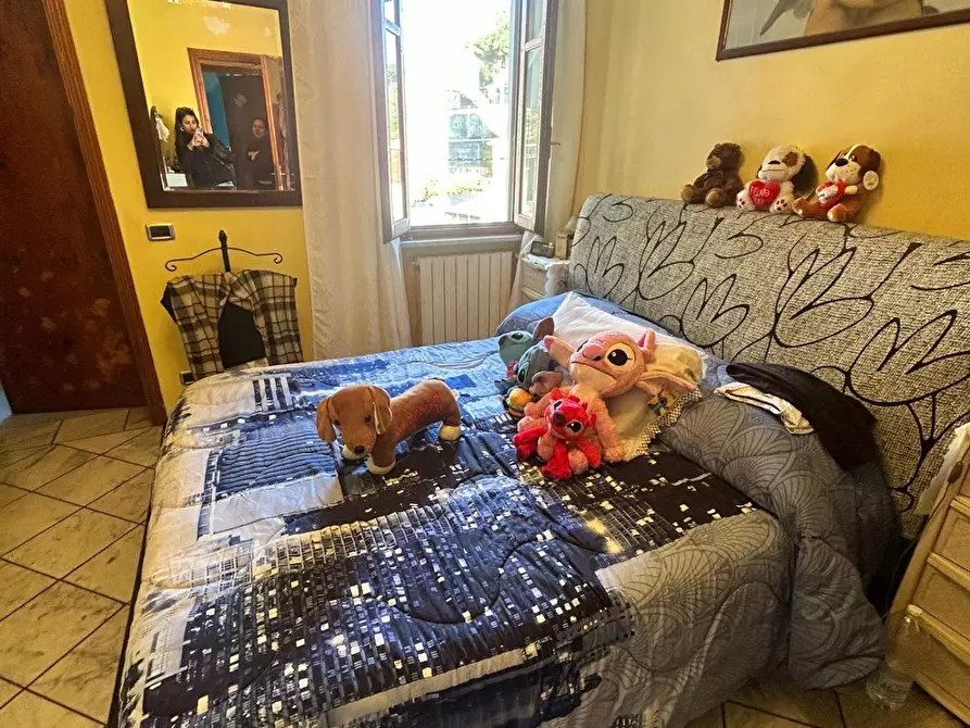 Immagine 12 di Terratetto in affitto  a Massa