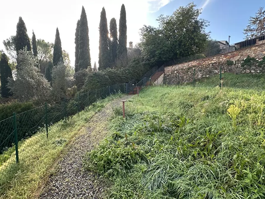 Immagine 9 di Appartamento in vendita  a Sovicille