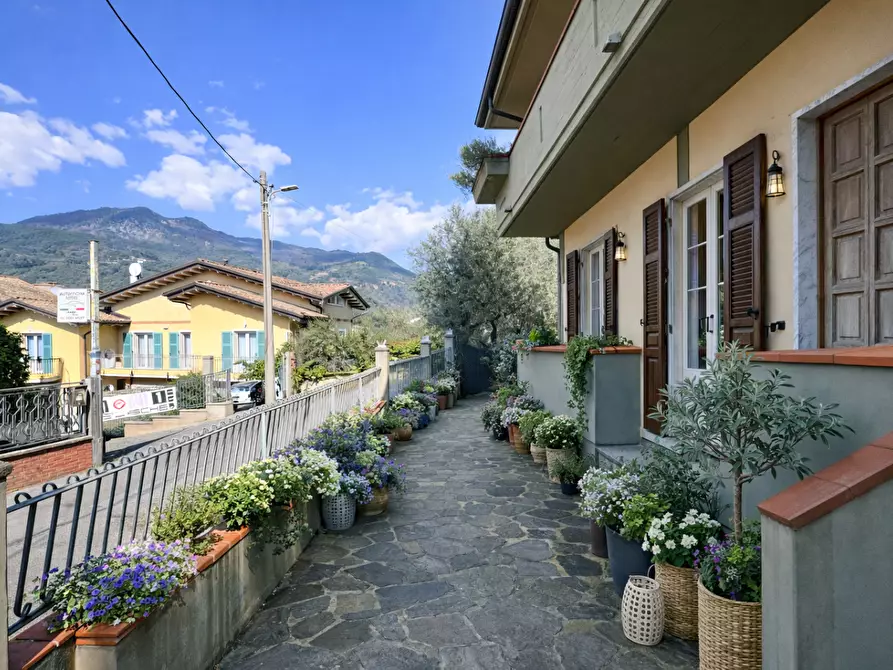 Immagine 3 di Casa indipendente in vendita  a Massa