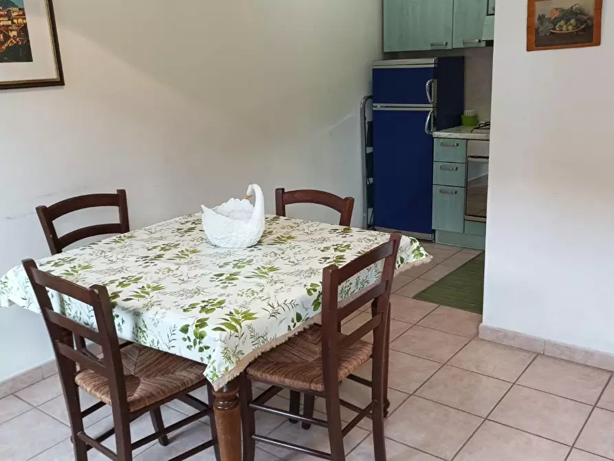 Immagine 8 di Appartamento in affitto  a Rosignano Marittimo