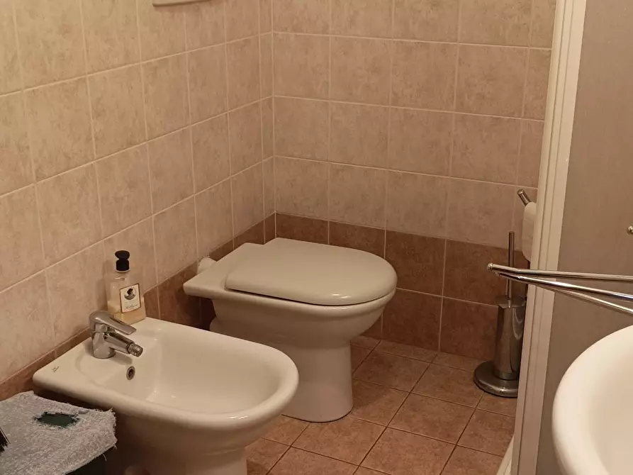 Immagine 18 di Appartamento in affitto  a Rosignano Marittimo