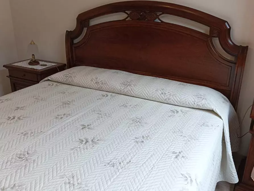 Immagine 14 di Appartamento in affitto  a Rosignano Marittimo