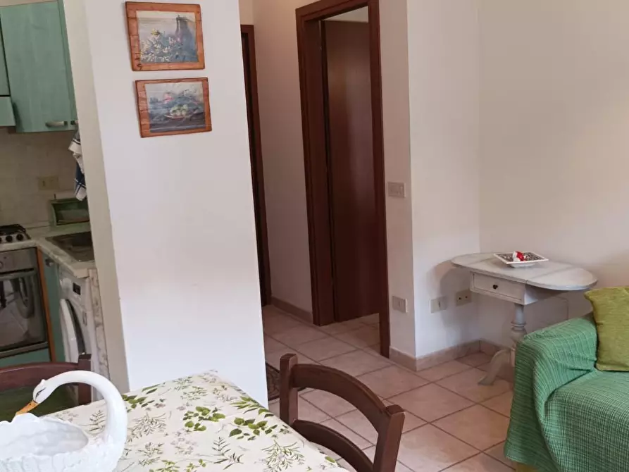 Immagine 6 di Appartamento in affitto  a Rosignano Marittimo