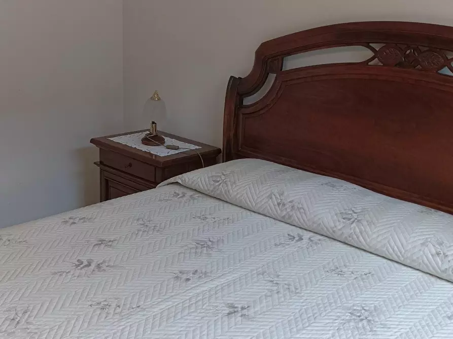 Immagine 15 di Appartamento in affitto  a Rosignano Marittimo