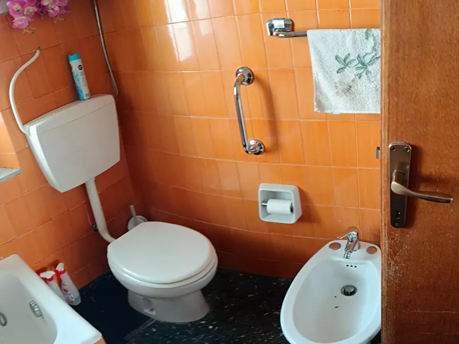 Immagine 11 di Appartamento in vendita  a Rosignano Marittimo