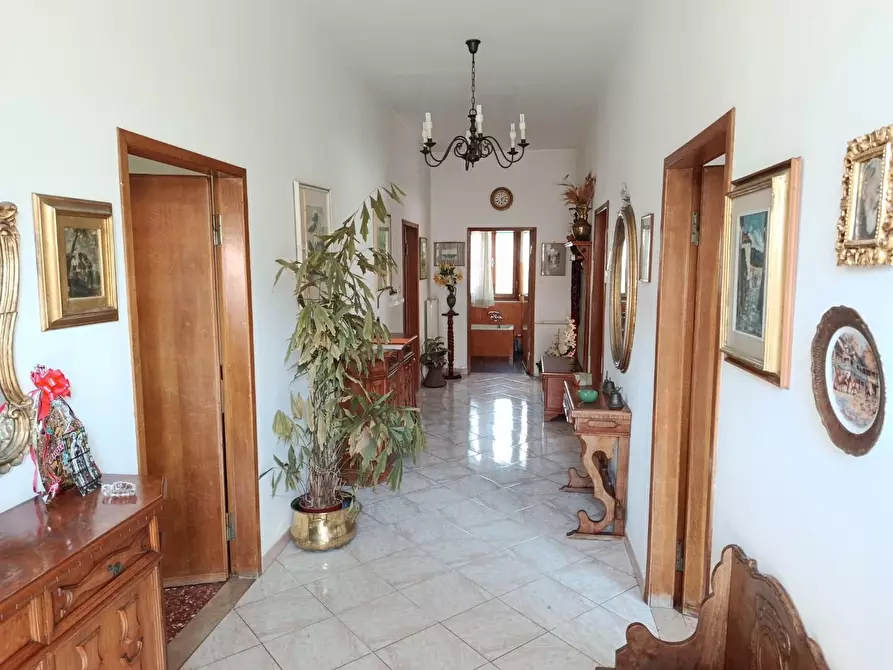 Immagine 3 di Appartamento in vendita  a Rosignano Marittimo