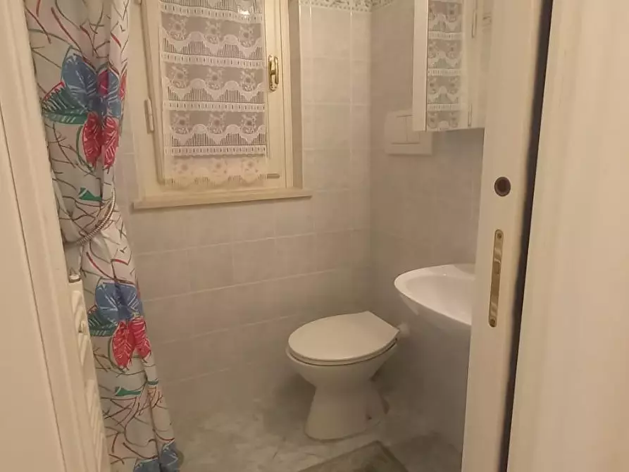 Immagine 20 di Appartamento in vendita  a Camaiore