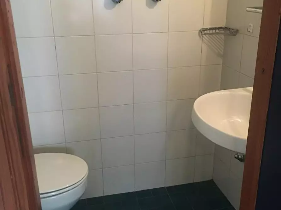 Immagine 4 di Appartamento in affitto  a Camaiore