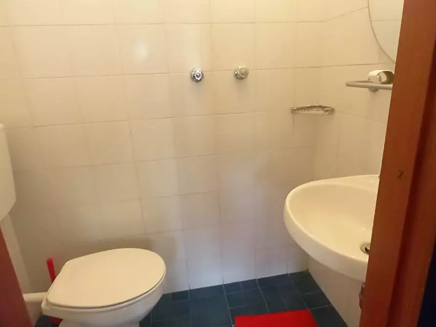 Immagine 17 di Appartamento in affitto  a Camaiore