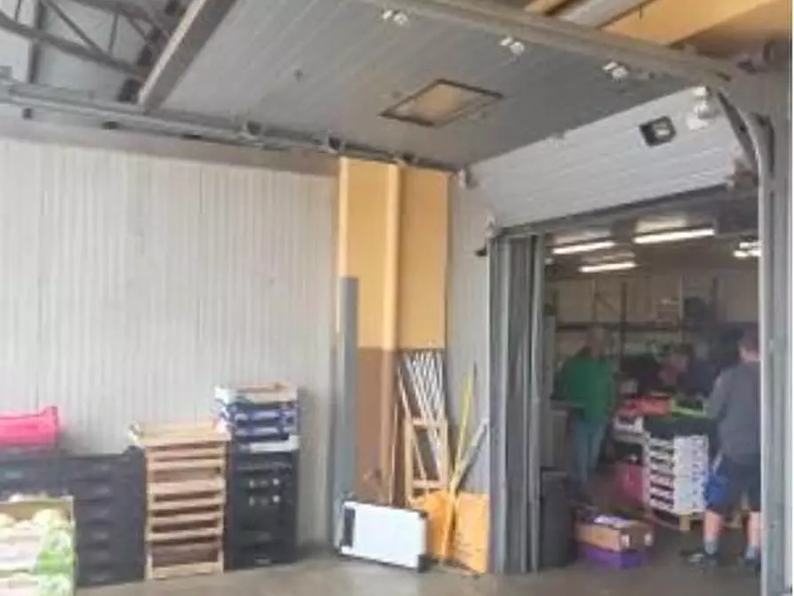 Immagine 9 di Capannone industriale in vendita  a Alessandria