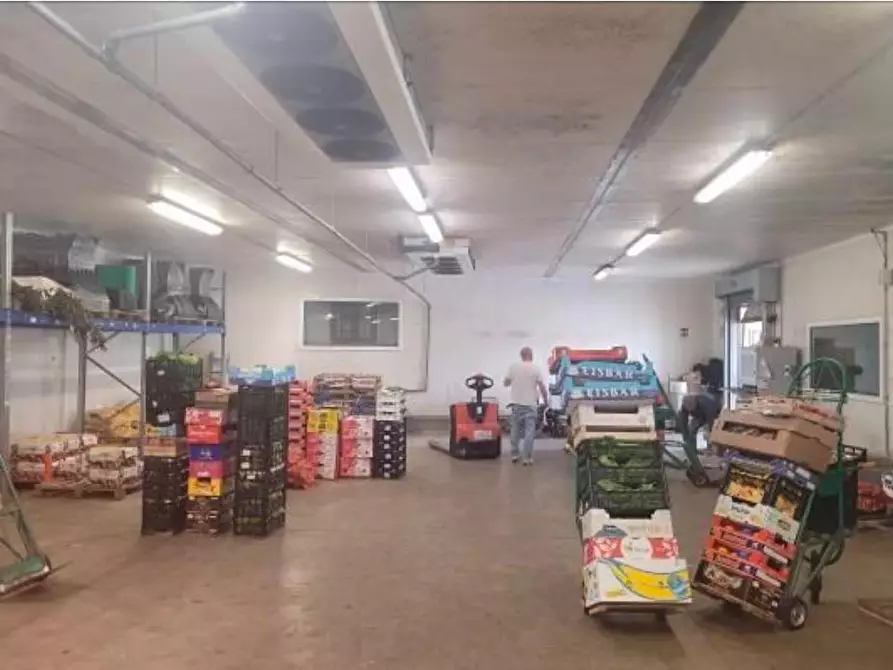 Immagine 3 di Capannone industriale in vendita  a Alessandria