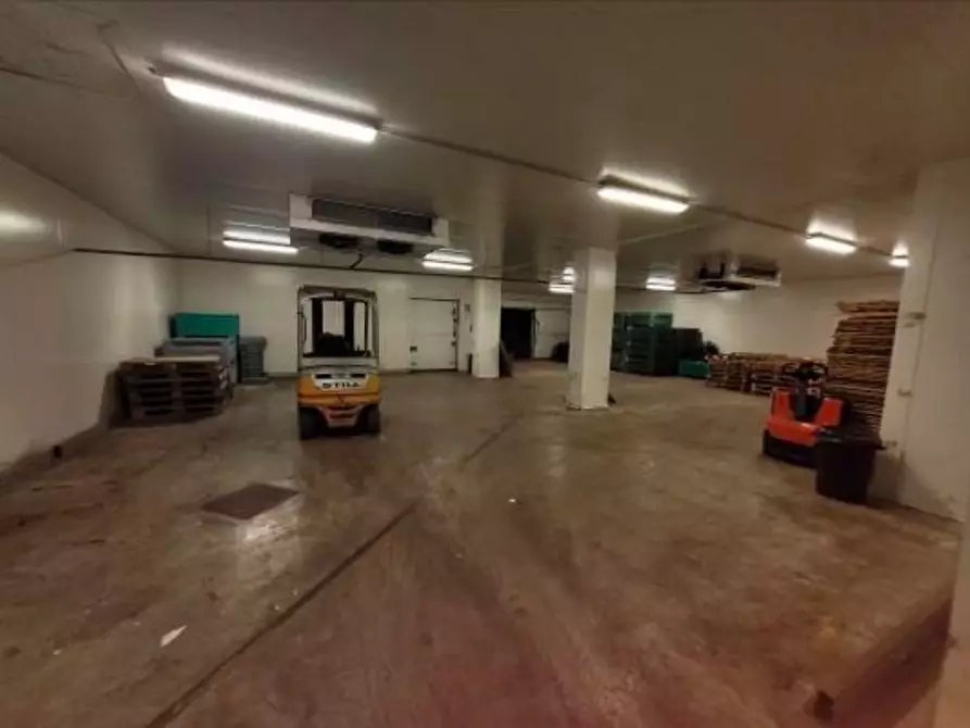 Immagine 5 di Capannone industriale in vendita  a Alessandria