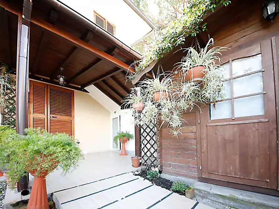 Immagine 5 di Appartamento in vendita  a Collesalvetti