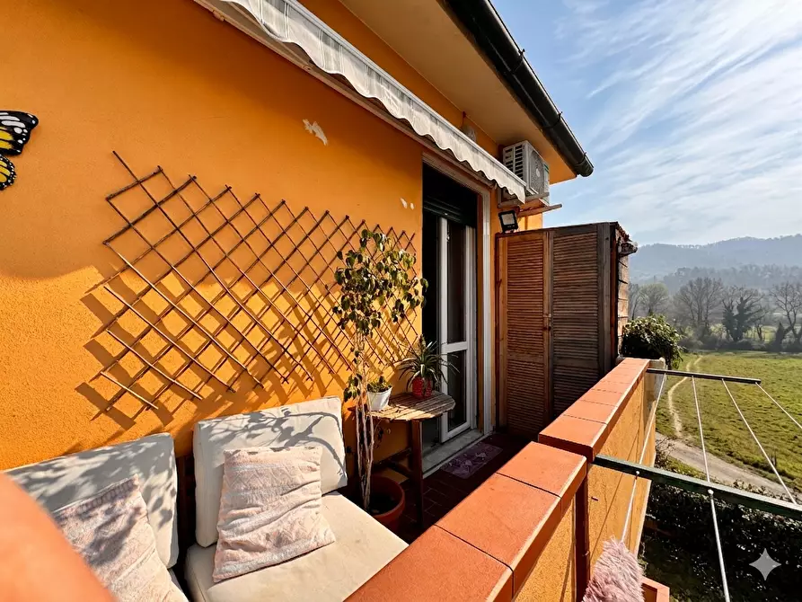 Immagine 31 di Appartamento in vendita  a Pontedera