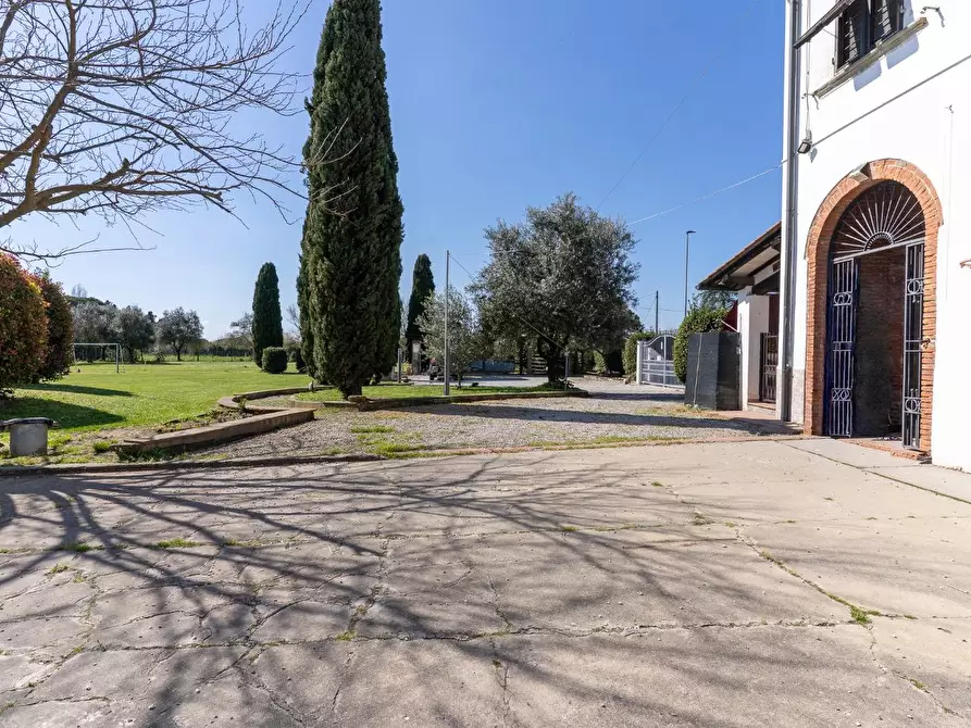 Immagine 6 di Casa colonica in vendita  a Santa Croce Sull'arno