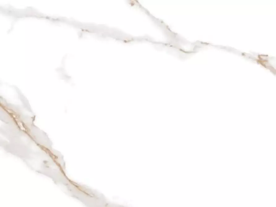 Immagine 15 di Appartamento in vendita  a Livorno