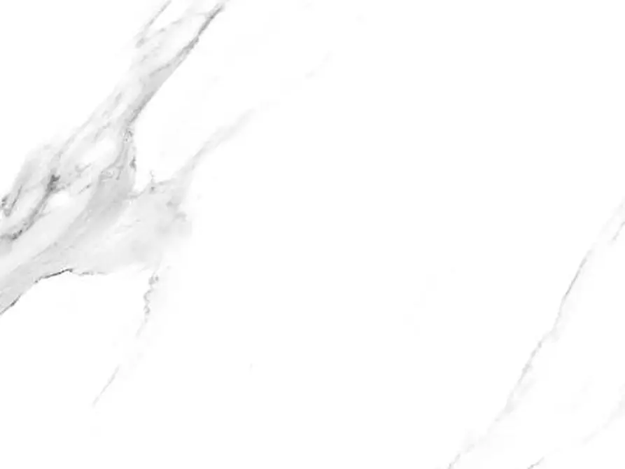 Immagine 16 di Appartamento in vendita  a Livorno