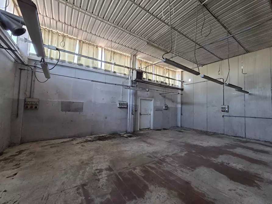 Immagine 4 di Capannone industriale in vendita  a Altopascio