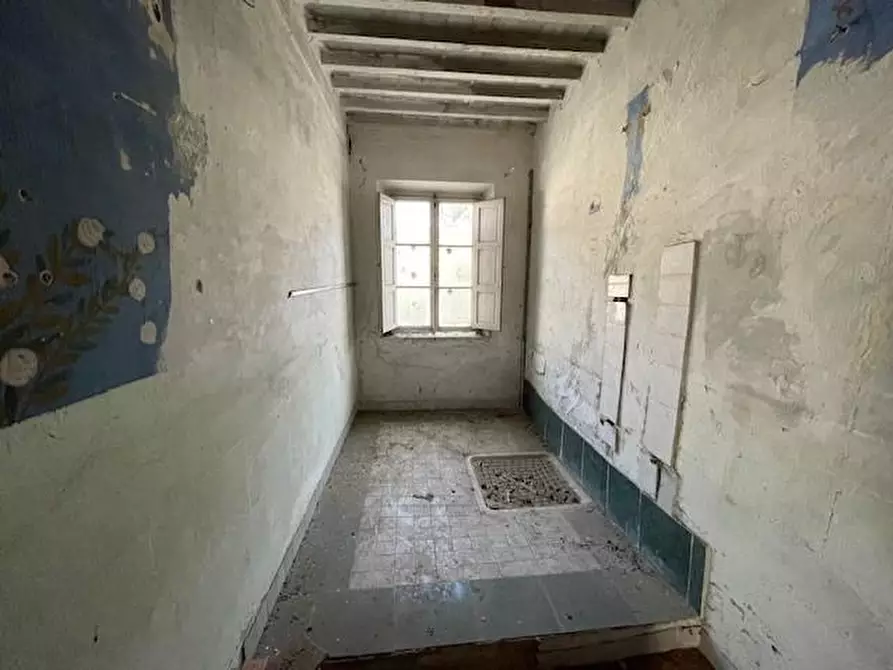 Immagine 9 di Terratetto in vendita  a Vecchiano