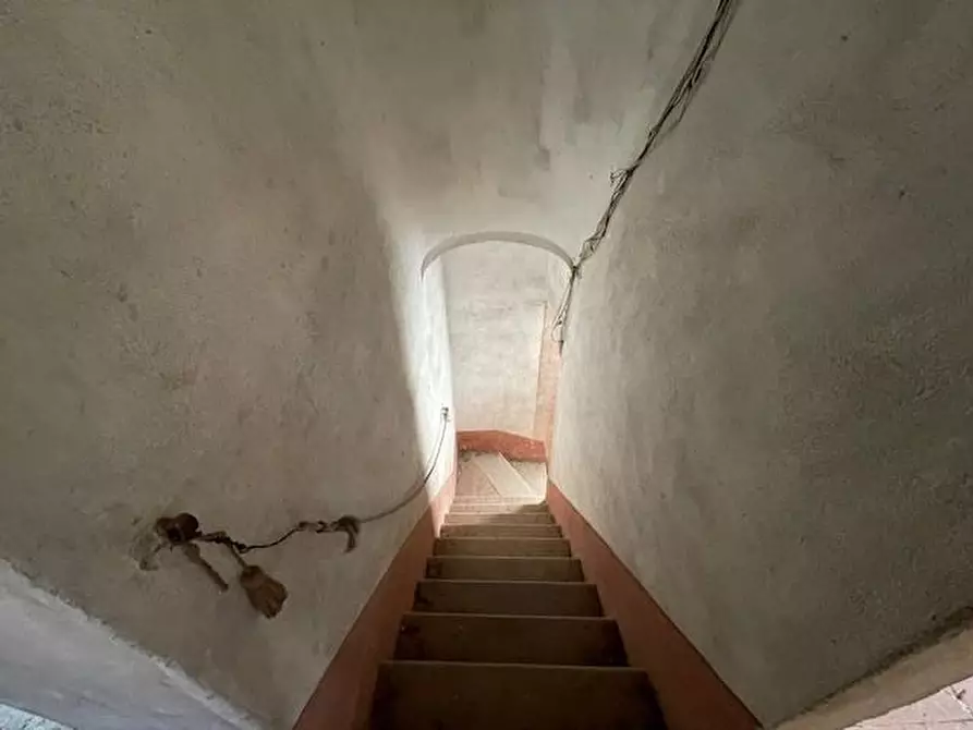 Immagine 8 di Terratetto in vendita  a Vecchiano