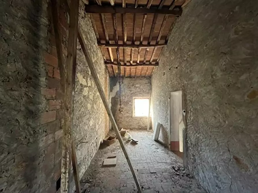 Immagine 12 di Terratetto in vendita  a Vecchiano