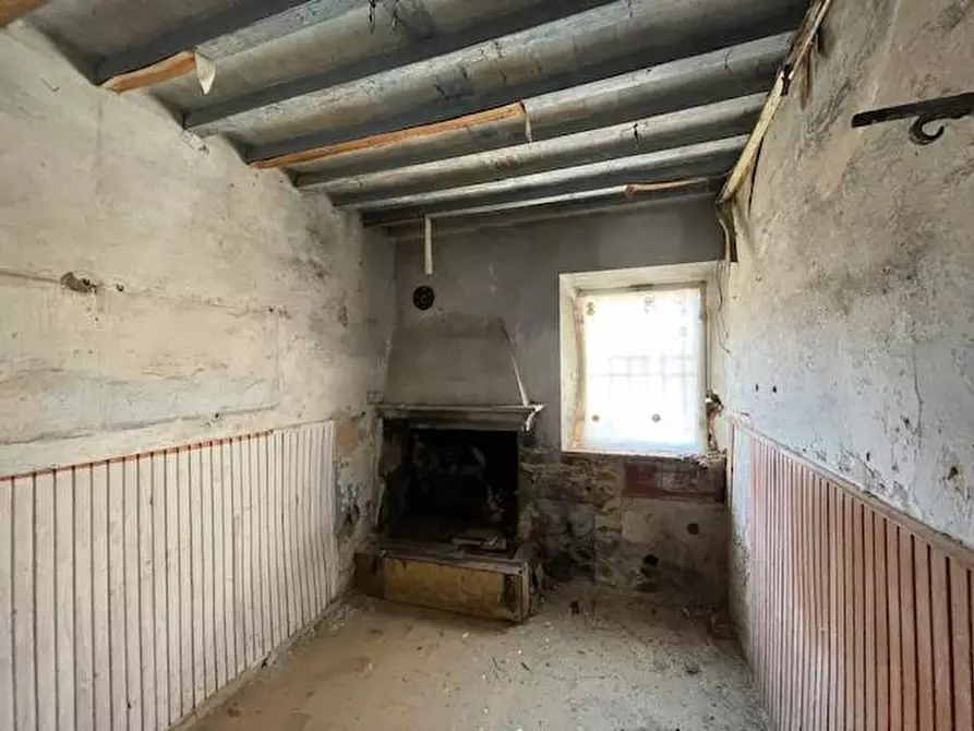 Immagine 5 di Terratetto in vendita  a Vecchiano