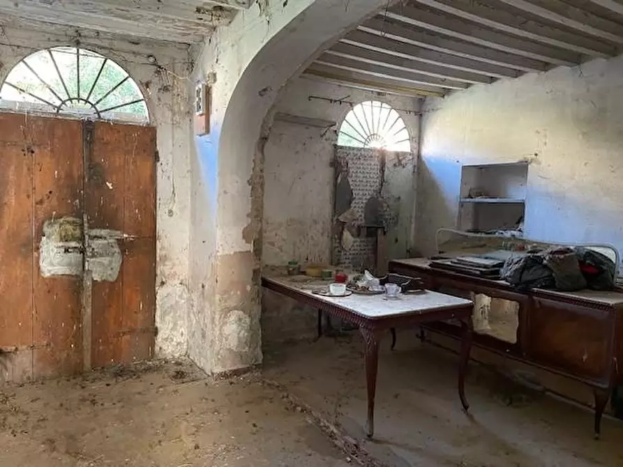 Immagine 3 di Terratetto in vendita  a Vecchiano