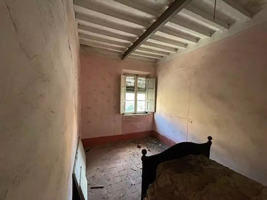 Immagine 10 di Terratetto in vendita  a Vecchiano