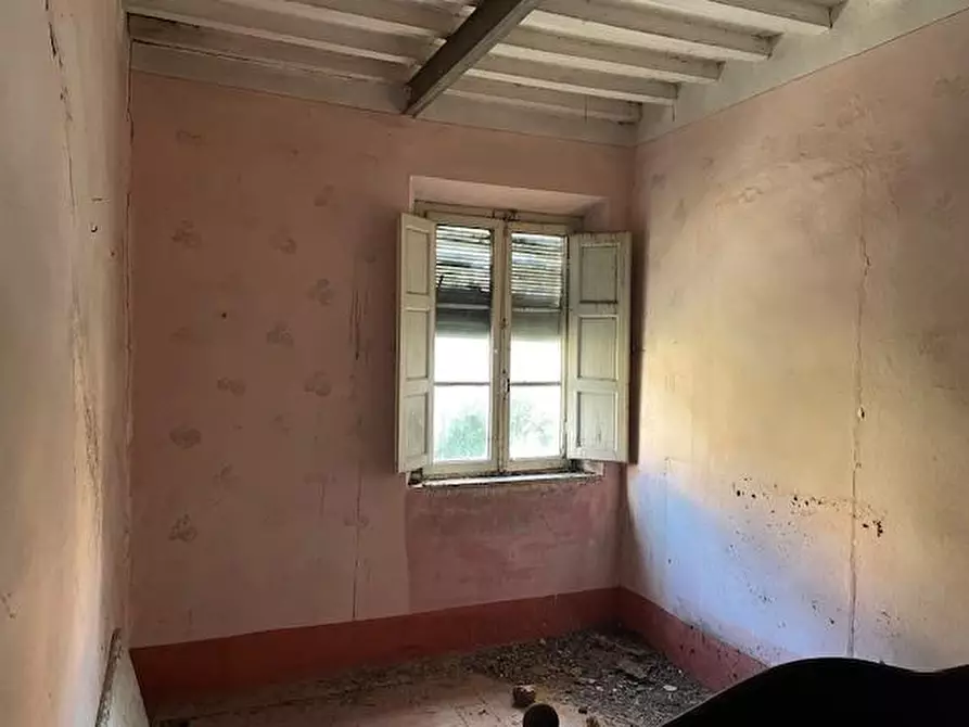 Immagine 11 di Terratetto in vendita  a Vecchiano