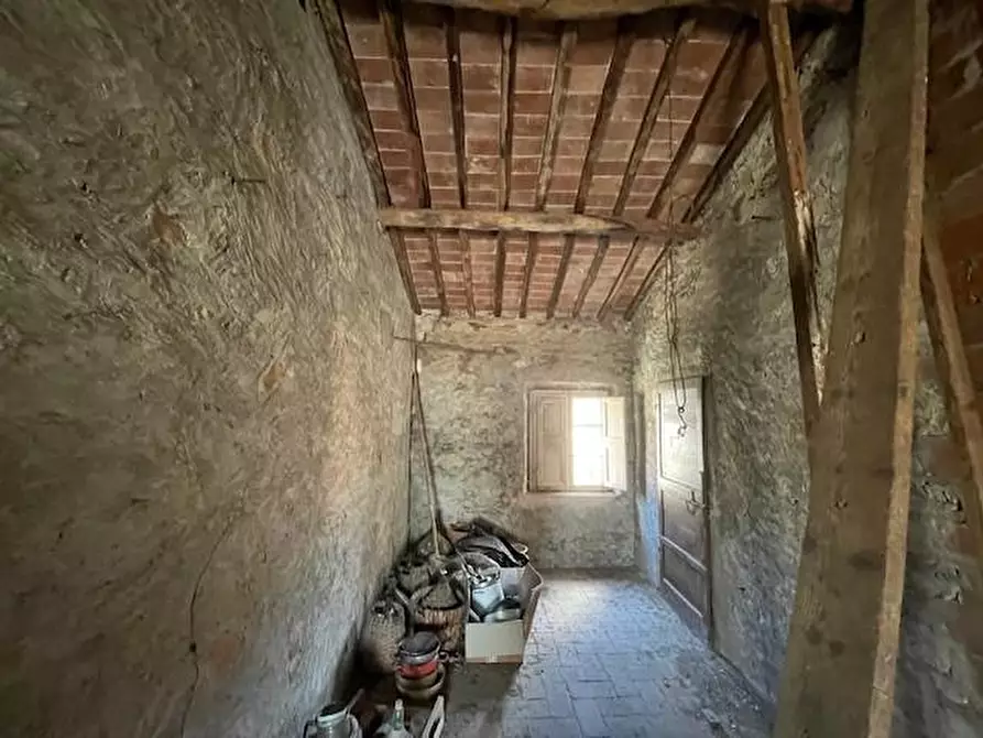 Immagine 13 di Terratetto in vendita  a Vecchiano