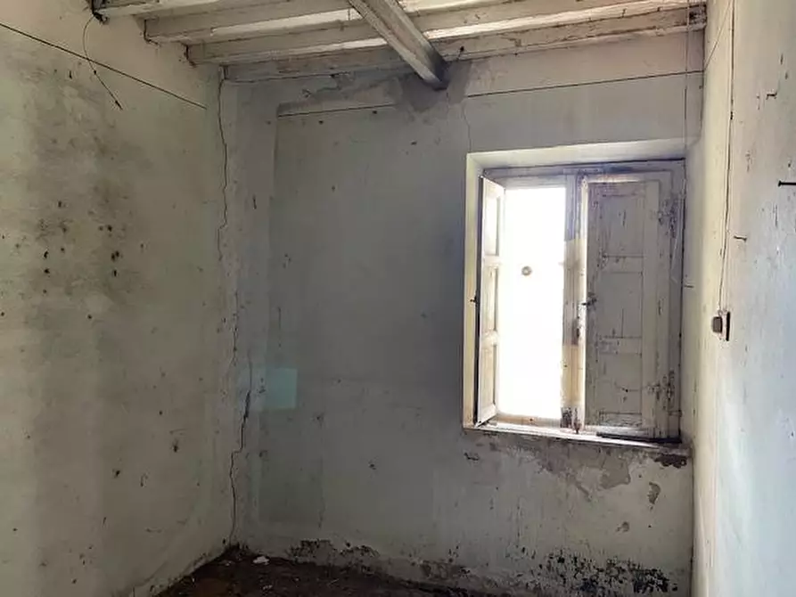 Immagine 6 di Terratetto in vendita  a Vecchiano