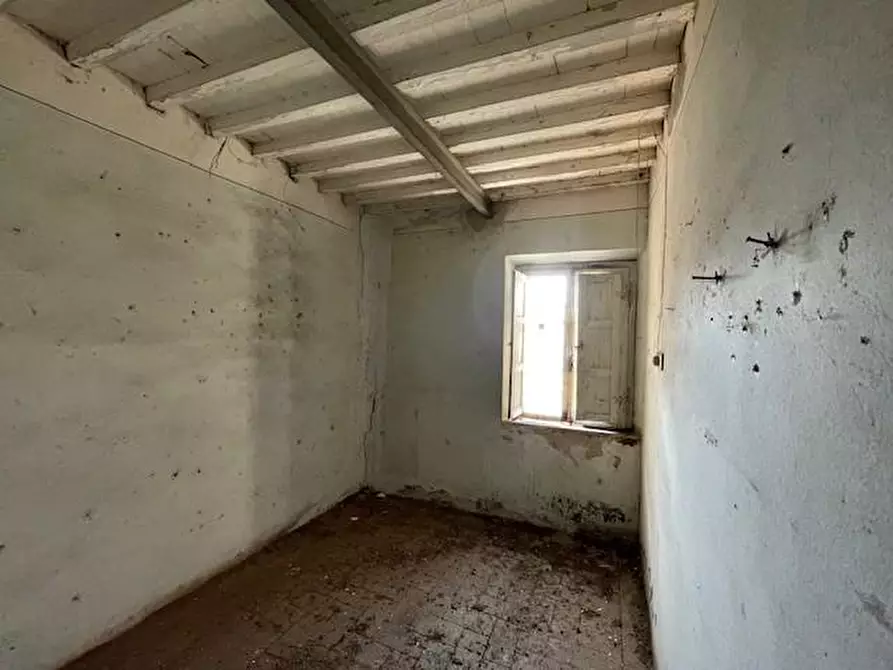 Immagine 7 di Terratetto in vendita  a Vecchiano